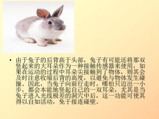 常见的科学常识100个；动物的科学常识