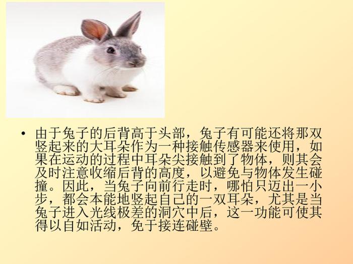 常见的科学常识100个；动物的科学常识