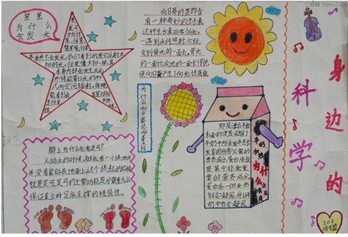 小学生身边的科学有哪些、科学小知识简短20字