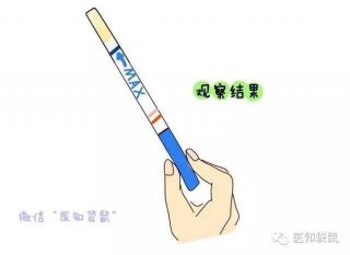 有哪些生活常识可以验孕；自己在家怎么验孕