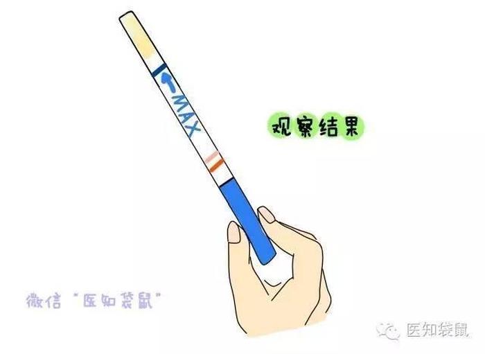 有哪些生活常识可以验孕；自己在家怎么验孕