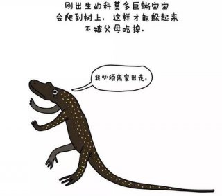 生活冷知识大全奇葩，奇葩冷知识科普