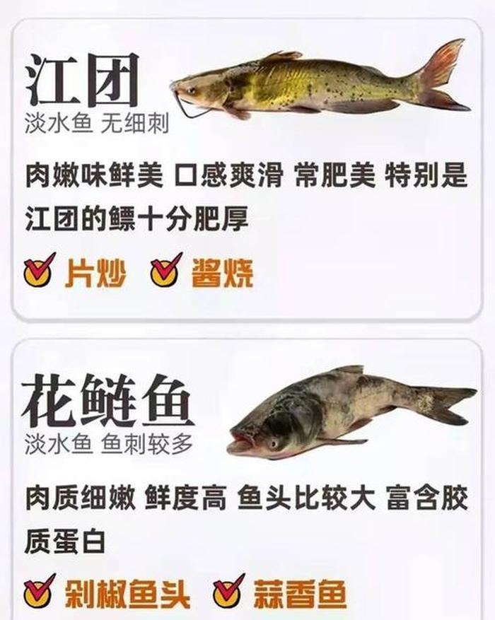 趣味语文冷知识，趣味地理冷知识