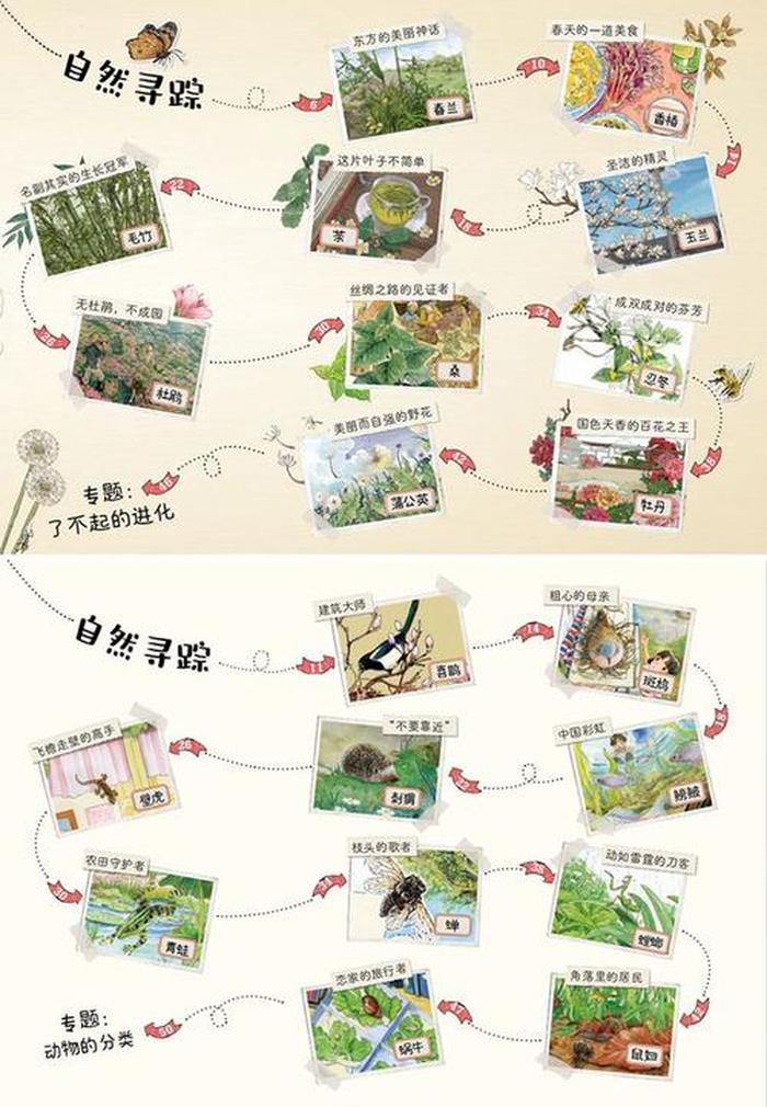 大自然的科普小知识 孩子必知的中国知识