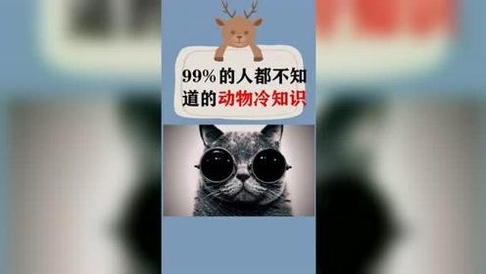 冷知识合集有1000个；一些冷知识
