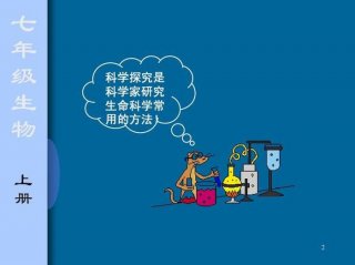 有趣的科学探究问题、什么是科学探究的前提