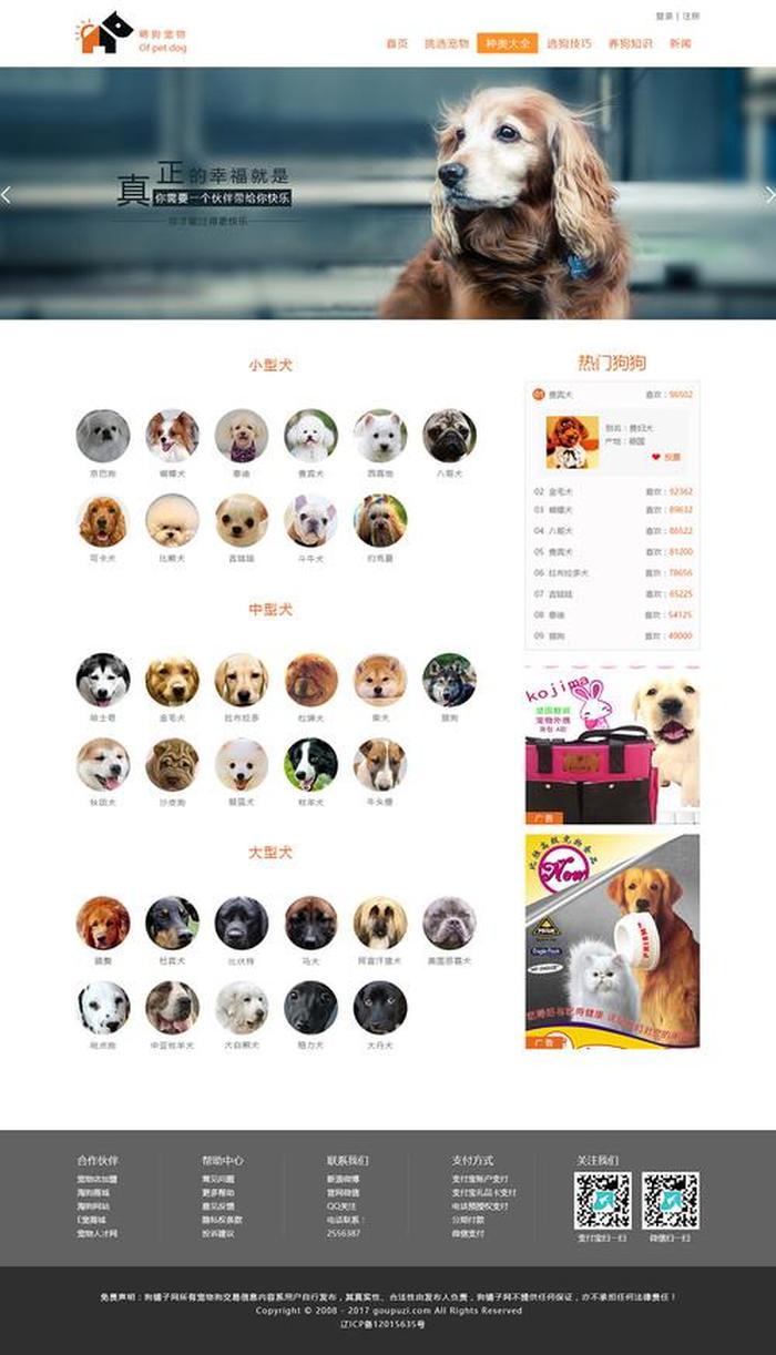宠物百科知识网站大全免费；宠物科普