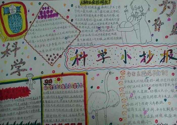 二年级写话科学小知识30字 - 科学小知识简短20字