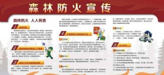 森林防火安全知识简短 - 消防安全包含防火安全不