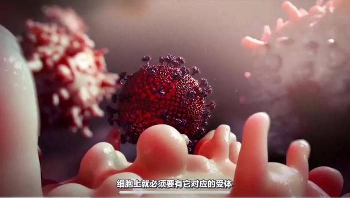 科普视频素材怎么找免费；免费视频素材去哪里找