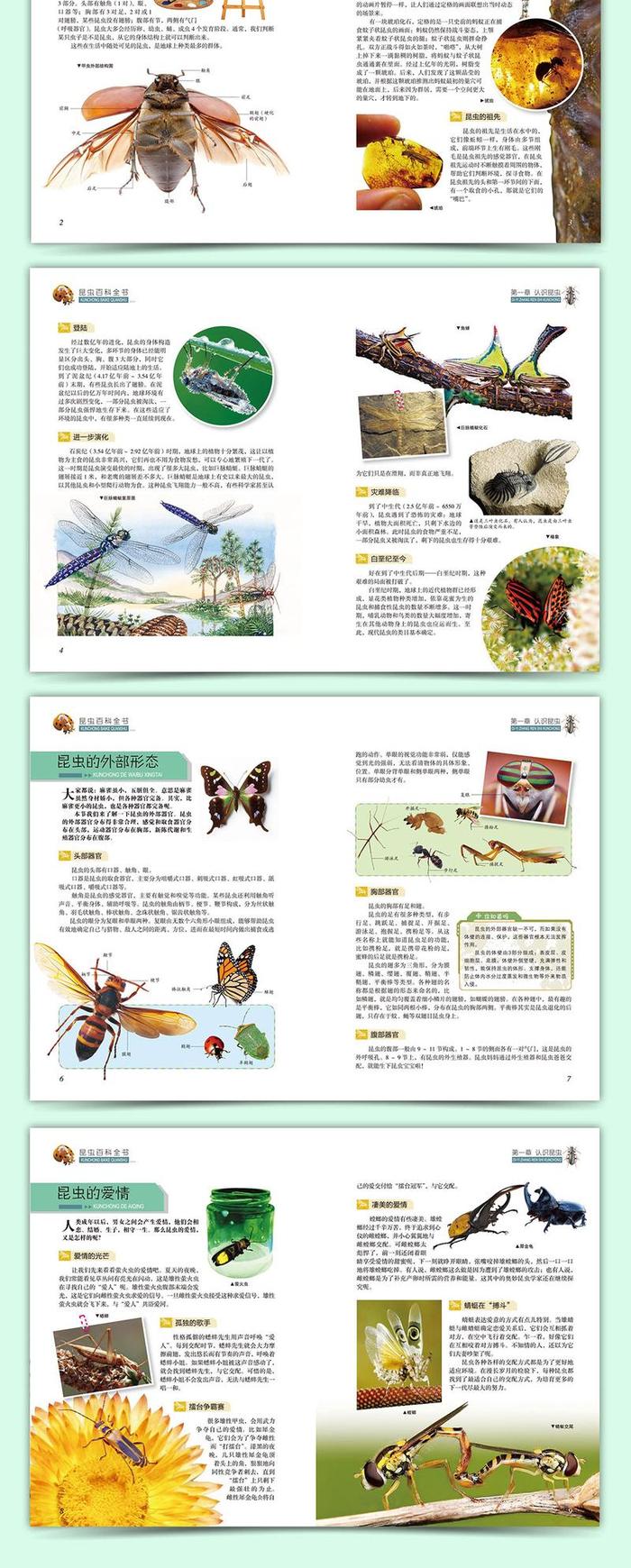 少儿百科知识大全1-10岁，简单幼儿知识问答