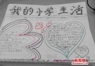 生活的基本知识手抄报 生活小报手抄报