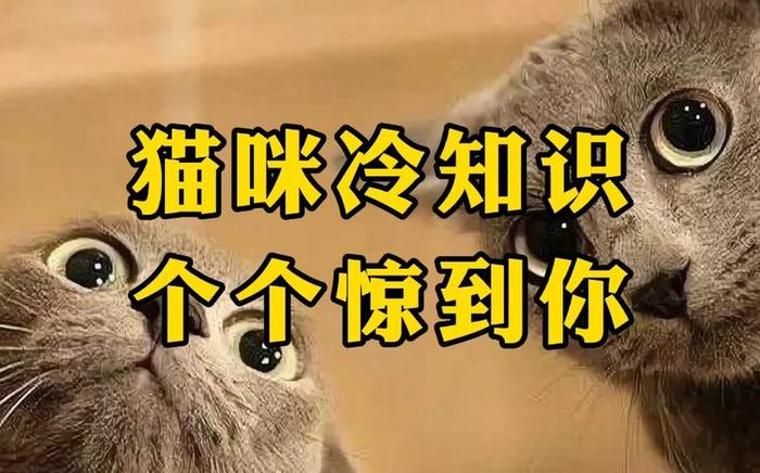 十万个奇葩冷知识一百字左右 - 爆笑冷知识