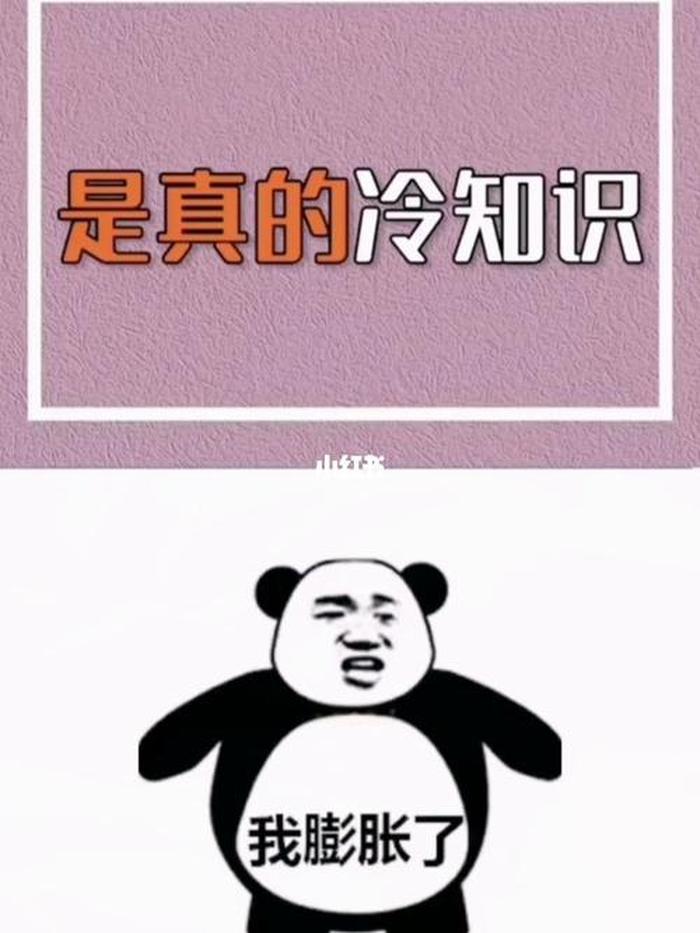 冷知识科普网站 - 搞笑冷知识