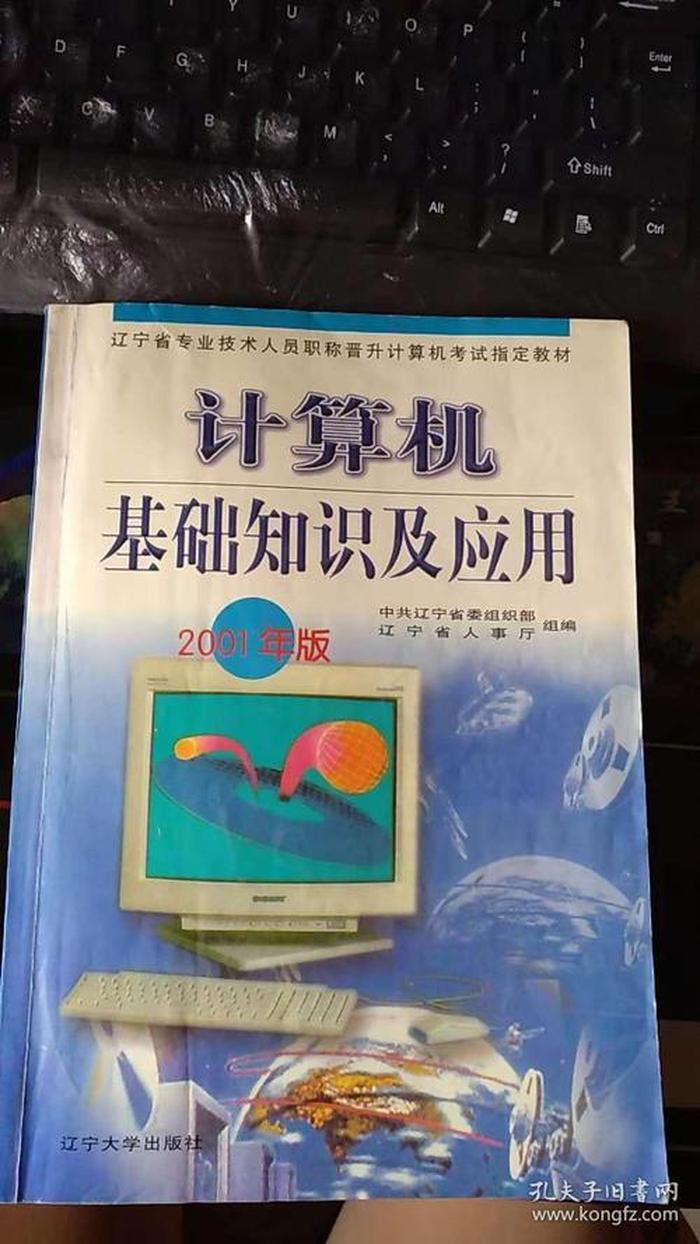 小学计算机入门基础知识；计算机初级应用基础