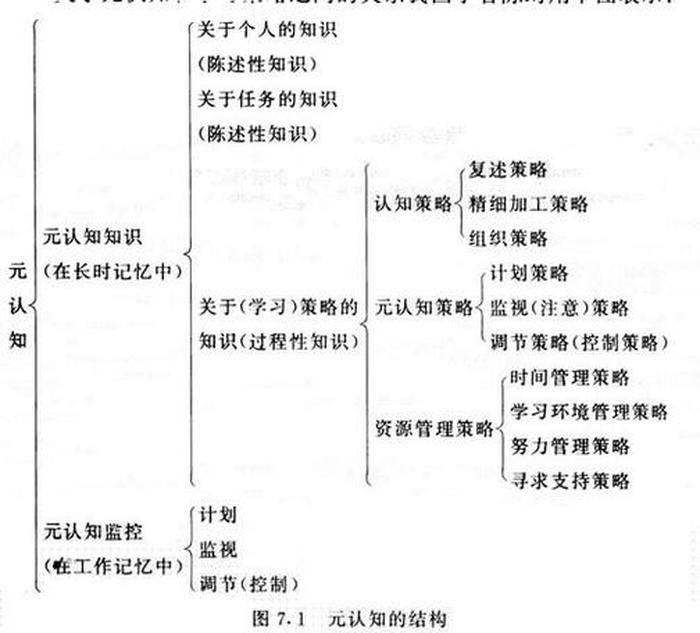 元知识是什么意思 元认知通俗易懂的概念