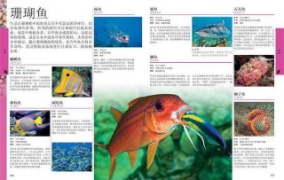 生物科学知识科普、生物常识500条