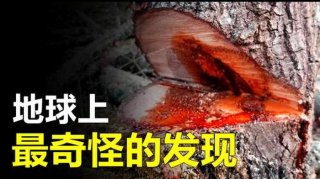 科学奇闻异事 - 科学无法解释的奇闻异事