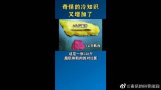 5个稀奇古怪的冷知识；奇怪有趣的冷知识