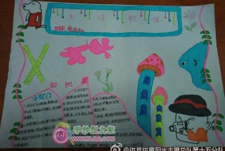 有趣的生活小知识手抄报；关于生活小窍门的小报内容