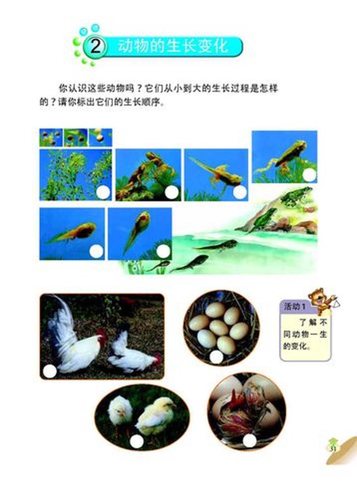 常见的科学常识100个；动物的科学常识