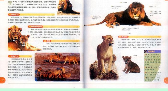 动物百科知识大全集 动物大百科全书