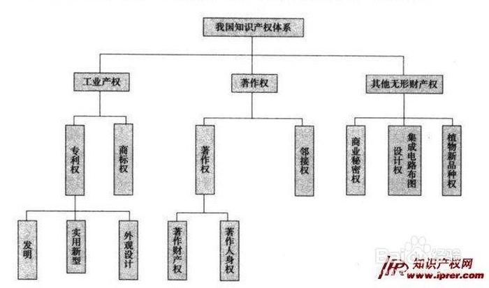 知识分类包括哪些内容；知识产权包括什么内容