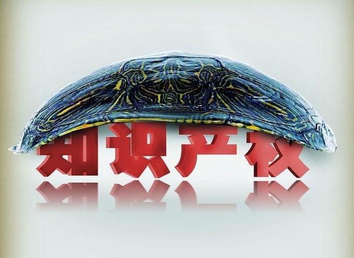 知识产权公司的团队打造 保护知识产权的措施
