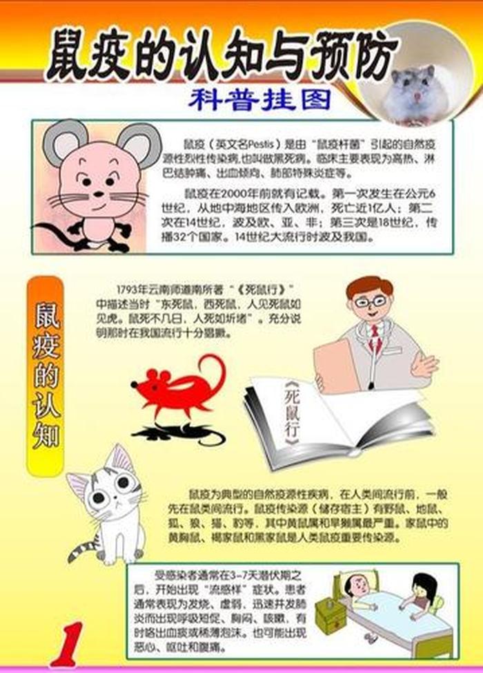 科普有趣的视频；科普小知识视频