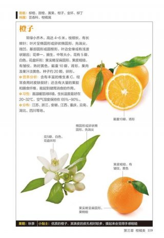生活百科知识大全300字 - 水果百科知识大全