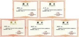 全国十大知识产权代理公司排名 中国专利代理 港专