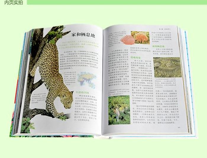 自然科学科普知识大全 - 大自然科普知识大全