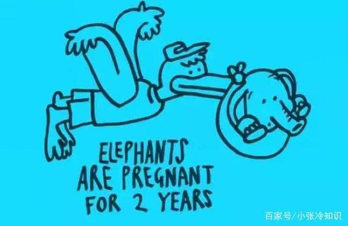 生活中的奇葩冷知识图片；让人难以相信的冷知识