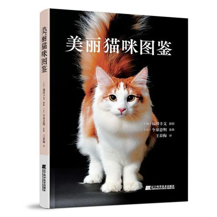 猫的百科知识介绍 猫百科知识大全