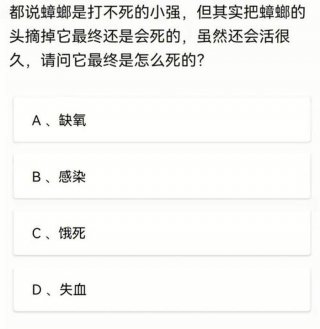 儿童趣味问答1000题猜猜乐；幼儿每日一问一答
