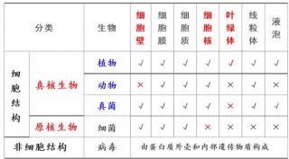 有趣又有意义的生物知识，有趣的生物小知识