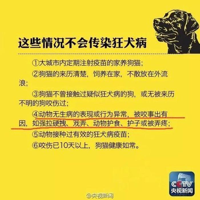 科学辟谣知识大全，辟谣的最好方法