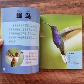 有趣的百科知识大全图片；幼儿百科知识大全