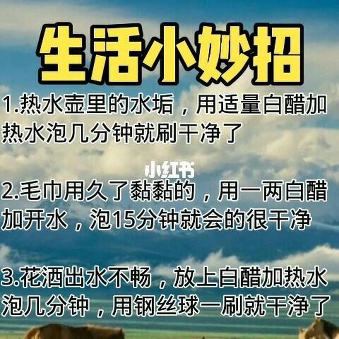 32个生活小窍门歌曲 - 生活小常识生活小窍门