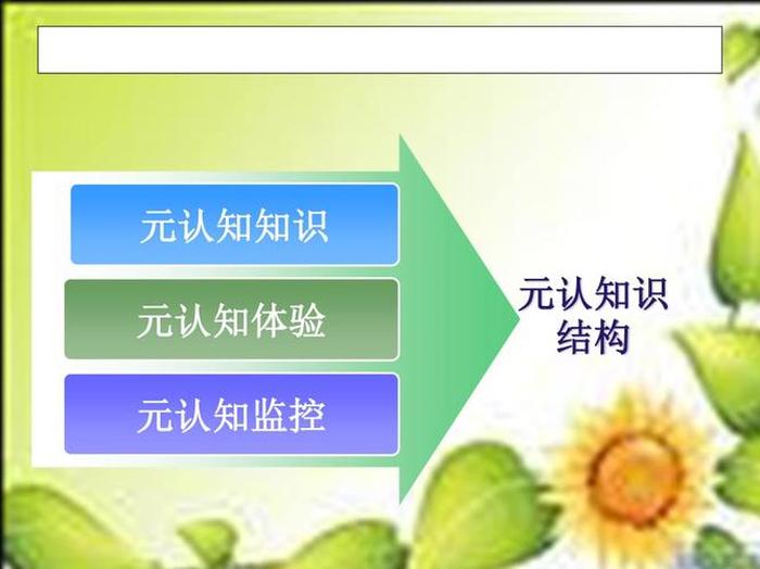 元知识是什么意思 元认知通俗易懂的概念