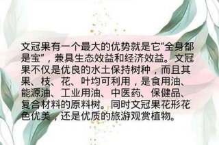 养生与健康论文1500字 - 养生之道论文3000字
