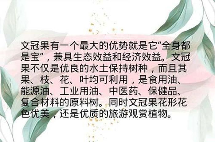 养生与健康论文1500字 - 养生之道论文3000字