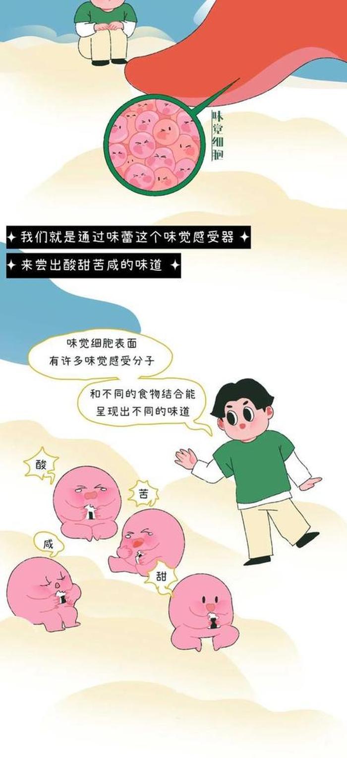 奇葩冷知识；稀奇古怪的冷知识