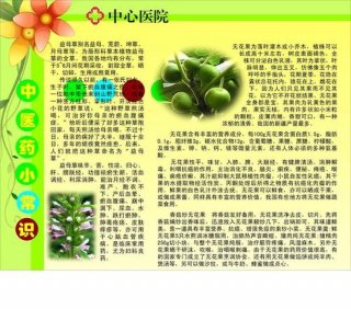 中医养生知识小常识；中医养生常识