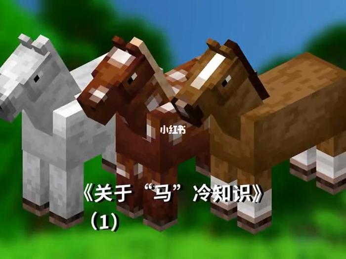 我的世界冷知识大全动物 - 我的世界小知识和技巧