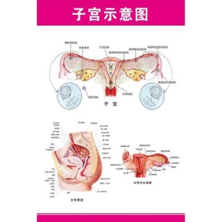 有趣的医学知识 医疗冷门知识