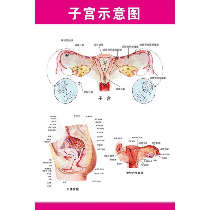 有趣的医学知识 医疗冷门知识