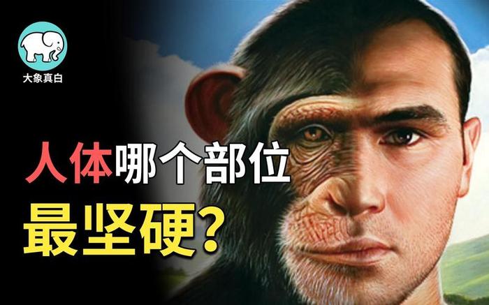 人体奇葩冷知识大全、人体冷知识百科大全