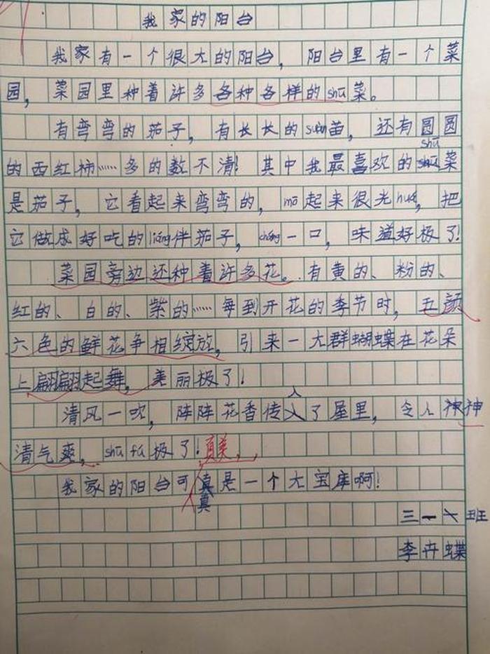 说说日常生活中你有什么发现，生活中的观察与发现有哪些