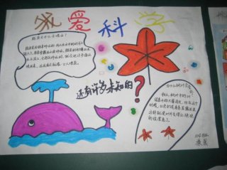 十个科学小知识简单手抄报，小学生安全手抄报简单